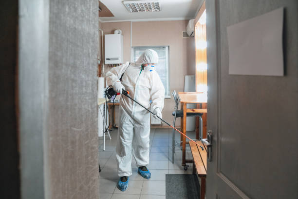 Best Residential Mold Inspection & Testing  in Avon By The Sea, NJ